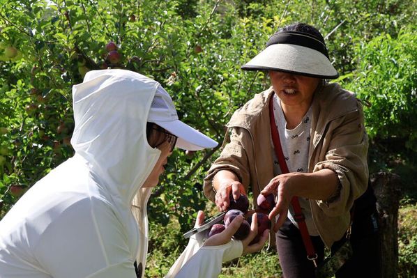分分快3全天计划app官方网站“薪火